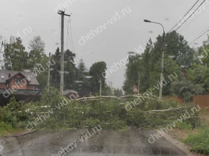 Дерево рухнуло и перегородило дорогу в частном секторе городского округа Чехов