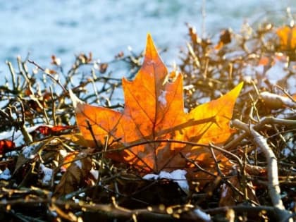 Предстоящая рабочая неделя будет совсем не летняя