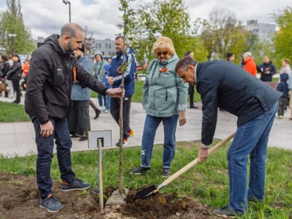 В Орехово-Зуеве появилась аллея черёмухи в честь погибших жителей округа