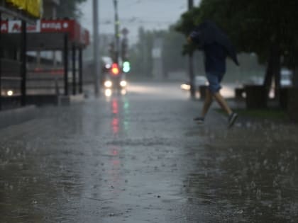 «Желтый» уровень опасности погоды из‑за грозы и ветра продлили в Московском регионе