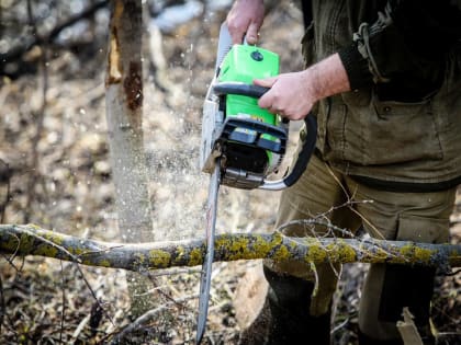 Новые инициативы по улучшению городской инфраструктуры