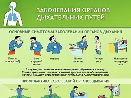 Профилактика заболеваний органов дыхания