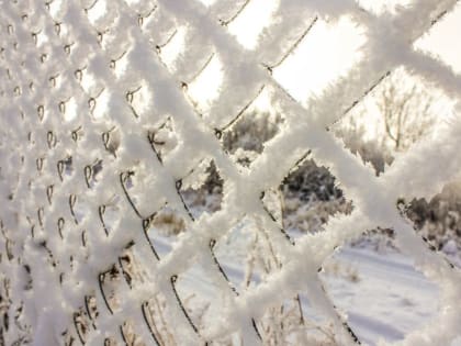 Синоптик: Москву и Подмосковье ждет потепление и несколько солнечных дней