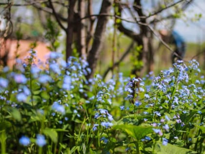 В воскресенье в Подмосковье потеплеет до +20 градусов
