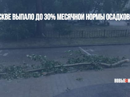 В Москве выпало до 30% месячной нормы осадков за час