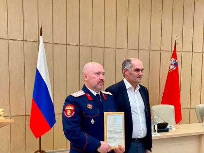 Подведены итоги деятельности народных дружин в Подмосковье