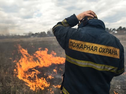 Жителей Подмосковья предупредили об опасности поджога сухой травы