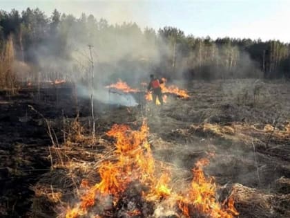 Шесть пожаров ликвидировано на территории лесного фонда Подмосковья за три майских дня