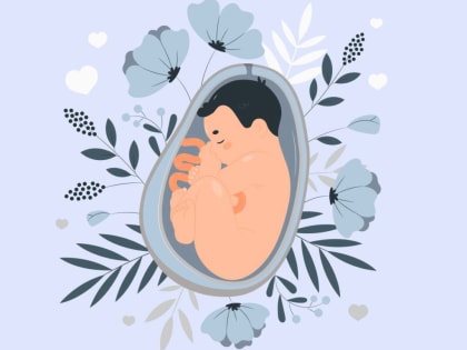 Портал «Стань мамой в Подмосковье»