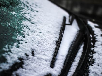 Москвичей в ночь на субботу ожидает мокрый снег