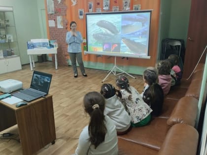 В Рузской библиотеке говорили о китах