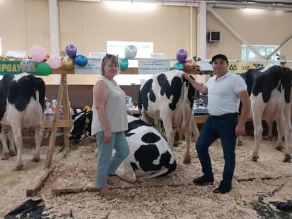Три племенных хозяйства из Зарайска приняли участие в областной выставке «Звезды Подмосковья».