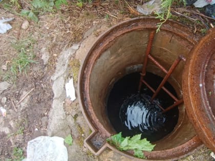 Проблемы здоровья жителей Подмосковья