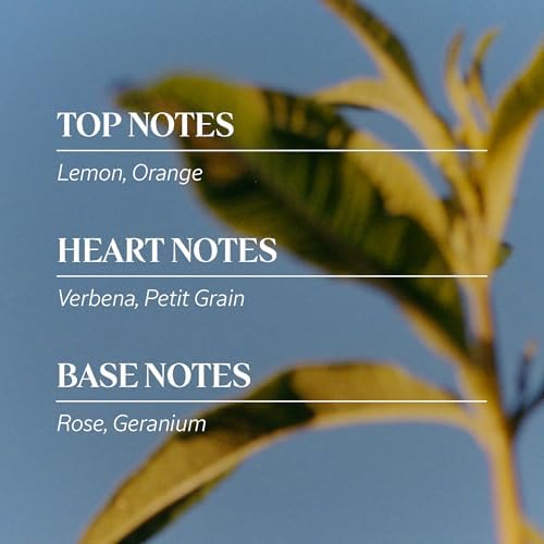 Vue 4 de Loccitane Coffret Duo