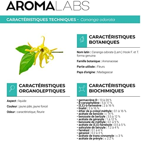 Vue 3 de Ylang Ylang Complete Bio