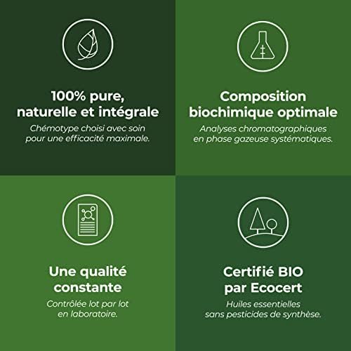 Vue 4 de Ylang Ylang Complete Bio