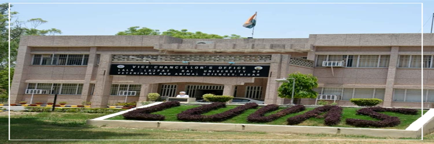 Featured image of college