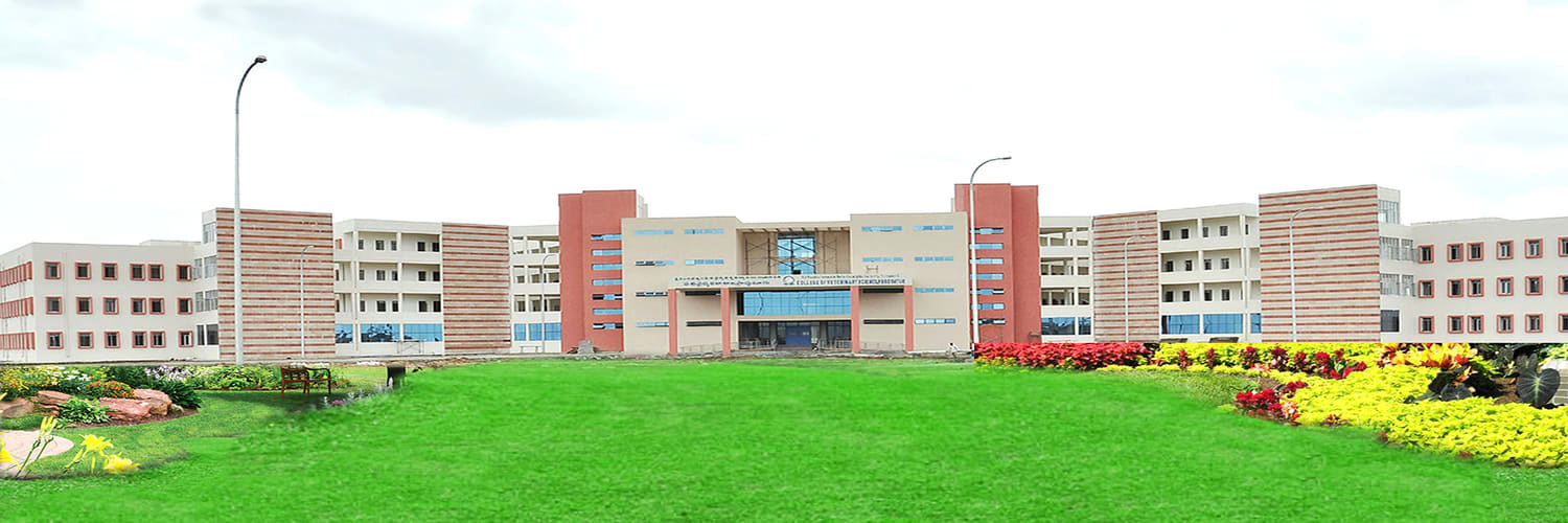 Featured image of college