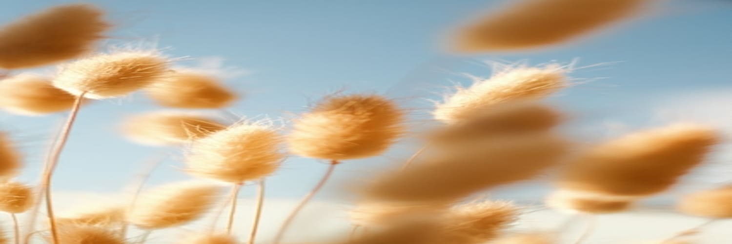 Featured image of college