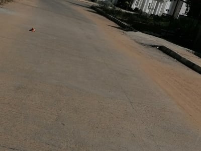 College Campus Image