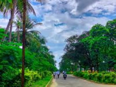 College Campus Image