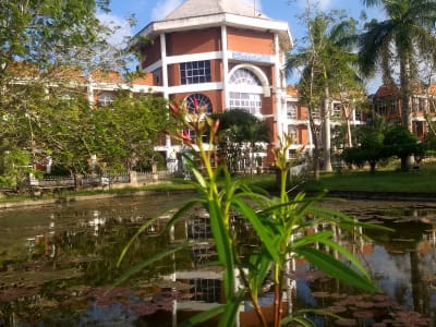 College Campus Image