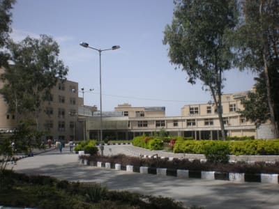 College Campus Image