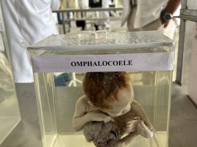 College Campus Image