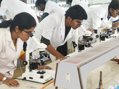 College Campus Image