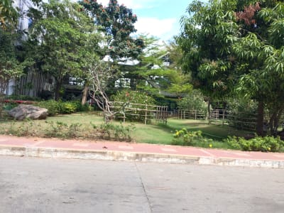 College Campus Image