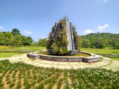 College Campus Image