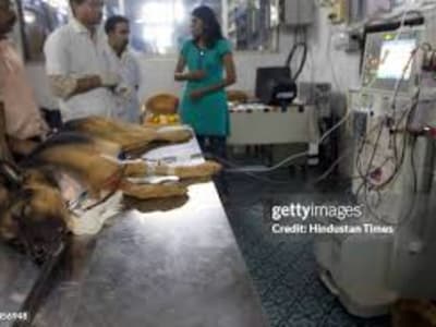 College Campus Image