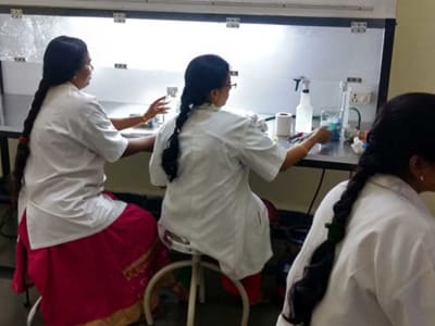 College Campus Image