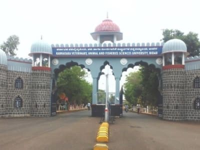 College Campus Image