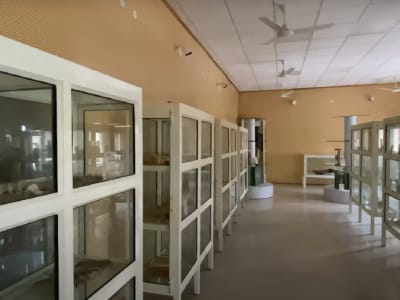 College Campus Image