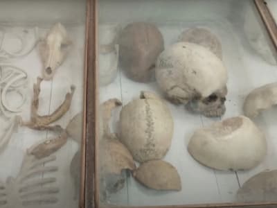 College Campus Image