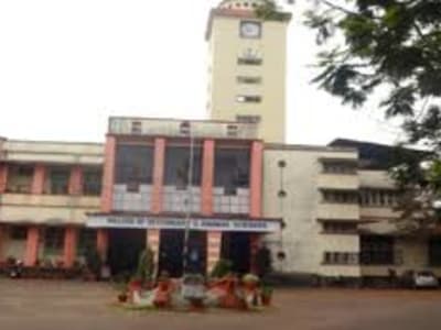 College Campus Image