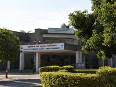 College Campus Image