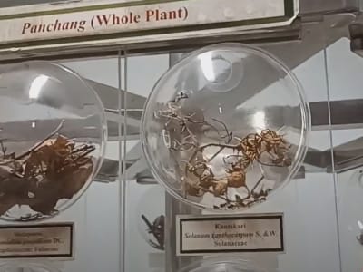 College Campus Image