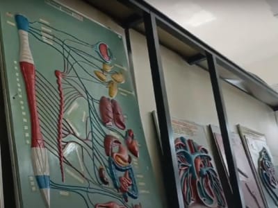 College Campus Image