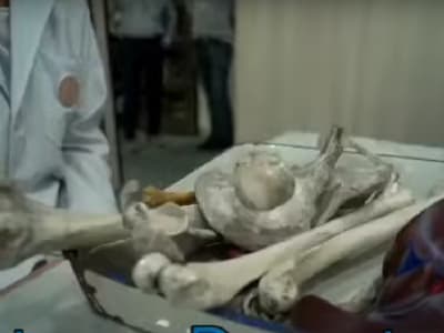 College Campus Image