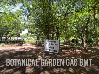 College Campus Image