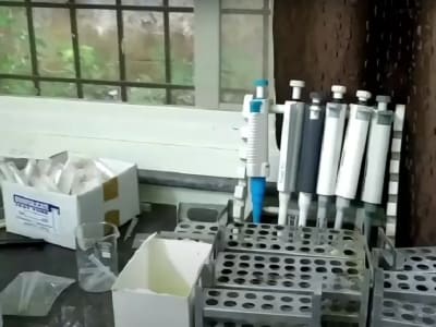 College Campus Image