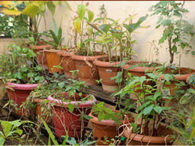 College Campus Image