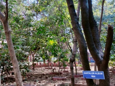 College Campus Image