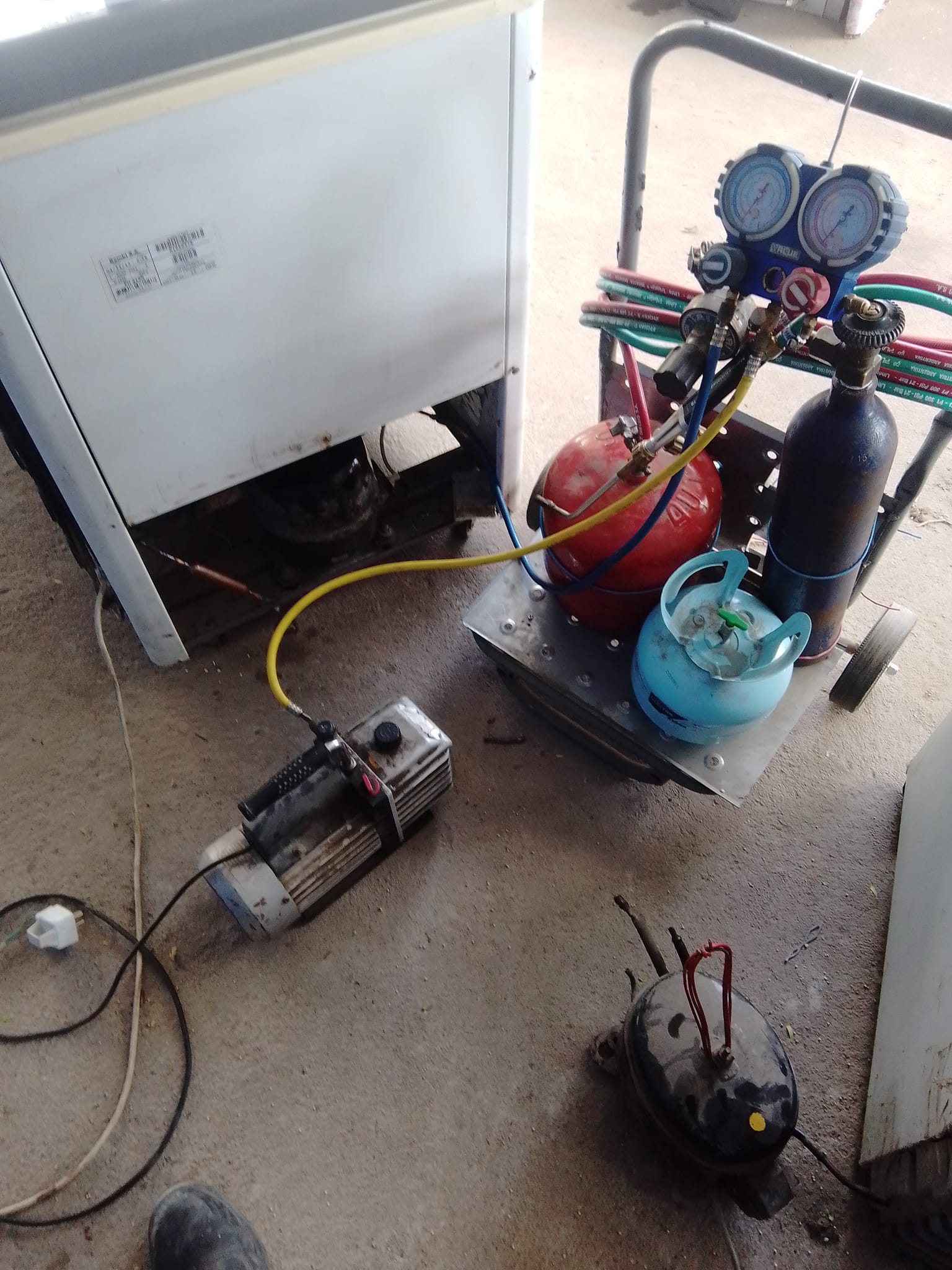 Reparación e instalación de Freezers - trabajo 3