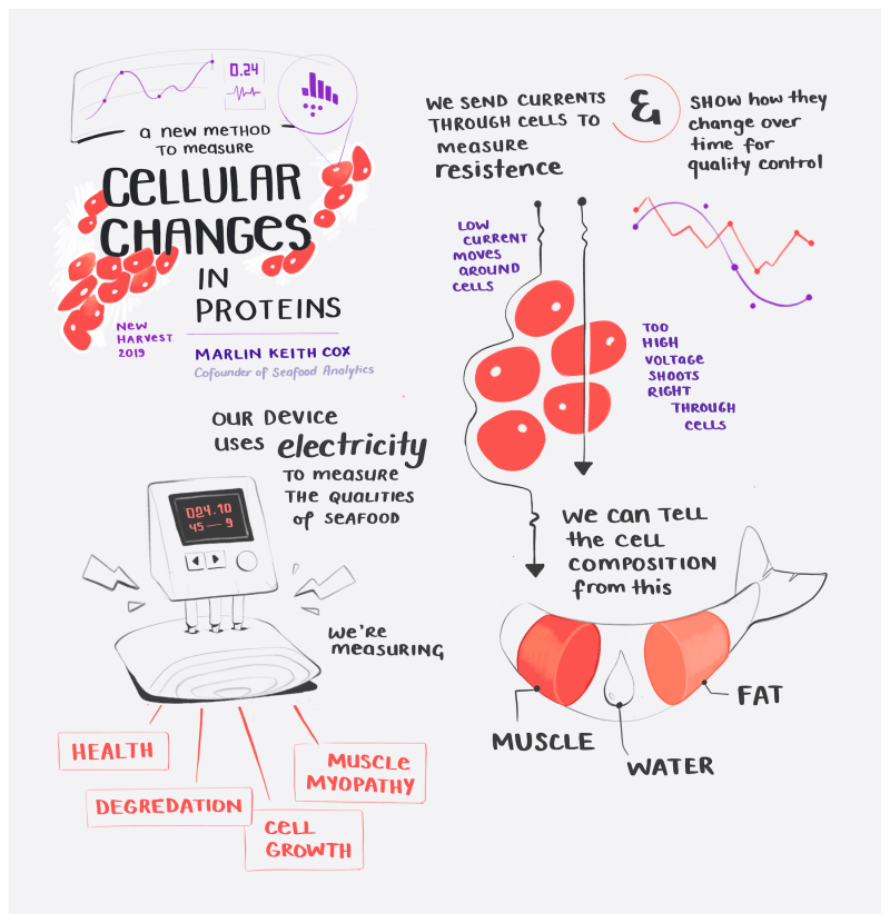 illustrated notes in cellular changes in proteins