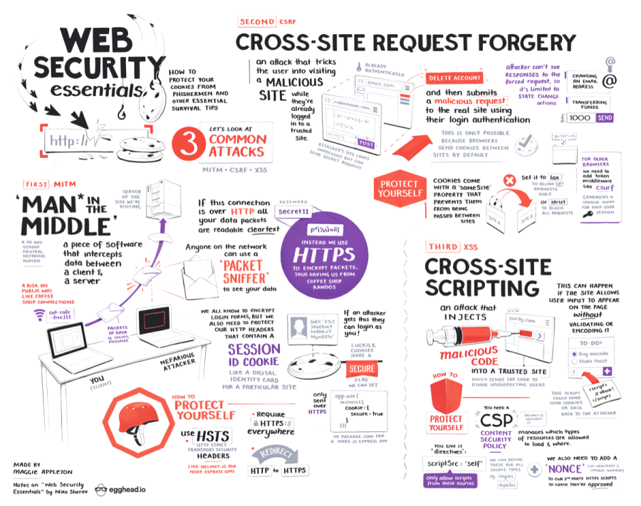 The fully illustrated notes on web security essentials