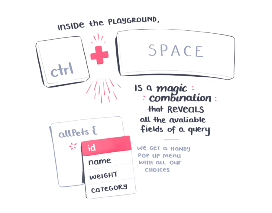 Inside the playground, ctrl + space is a magic combination that reveals all the available fields of a query