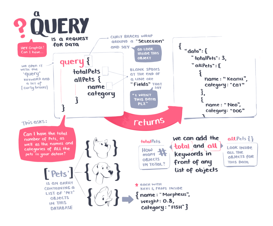 A query is a request for data. We open it with the query keyword and a set of curly braces. Curly braces wrap around a selection and say go look inside this object. Blank spaces at the end of a line are fields that say I want his data please. We can also add the 'total' and 'all' keywords in front of any list of objects.